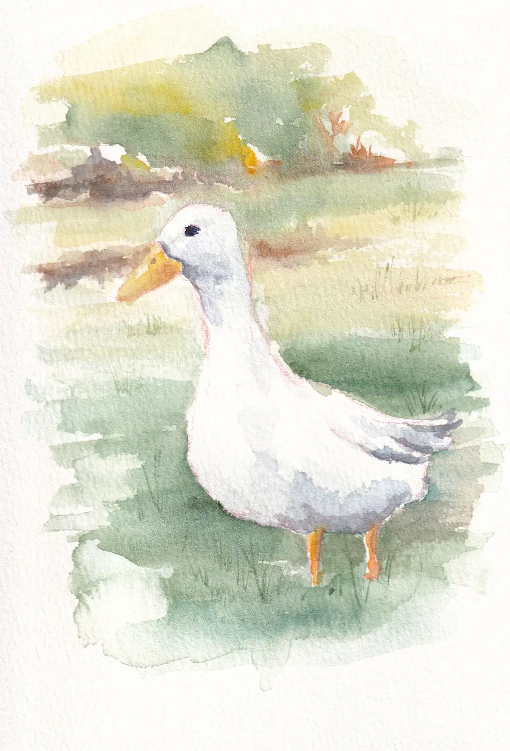 Watercolour painting